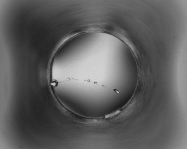 X0000099941195200805301211