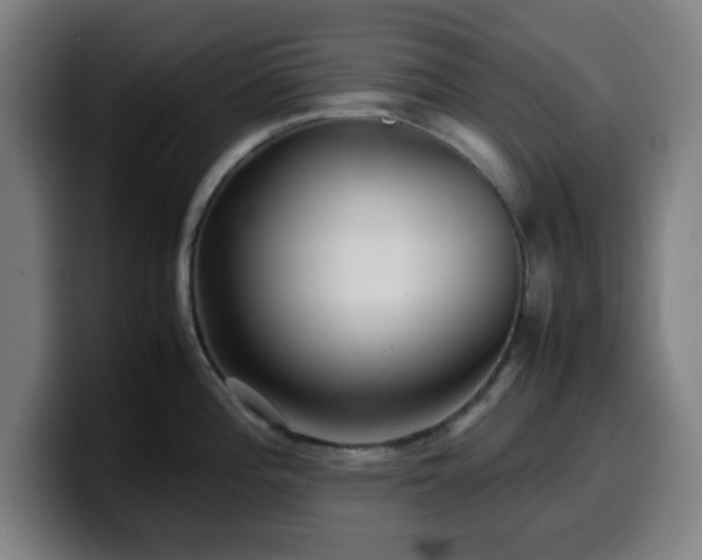 X0000099941196200805301211