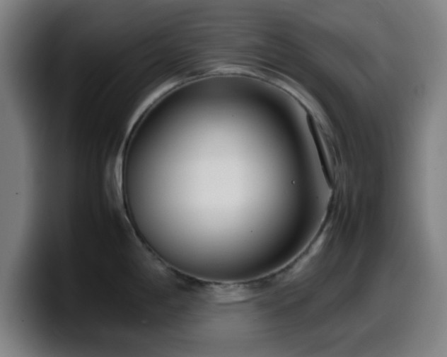 X0000099941198200805301211