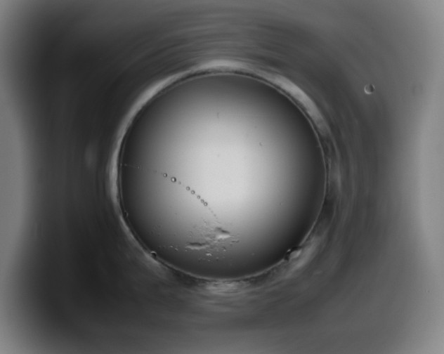 X0000099941199200805301211