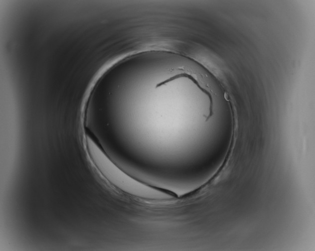 X0000099941200200805301211