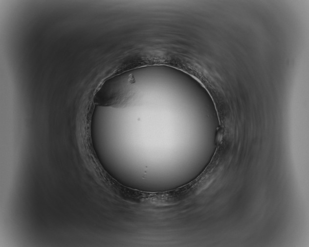 X0000099941201200805301210
