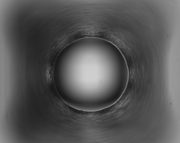 X0000099941202200805301210