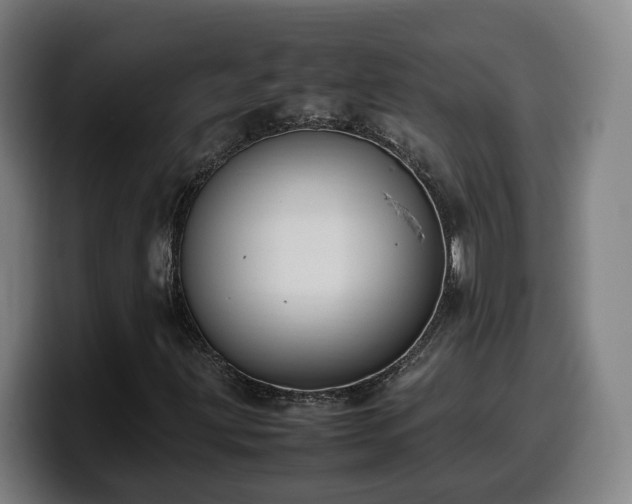 X0000099941203200805301210