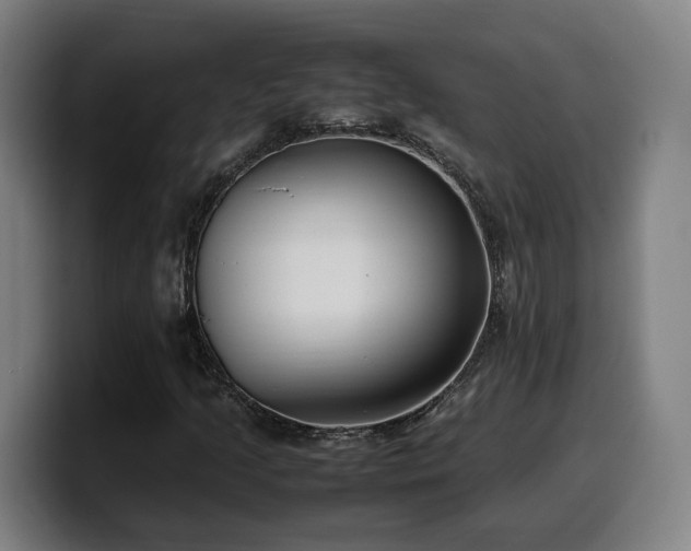 X0000099941205200805301210