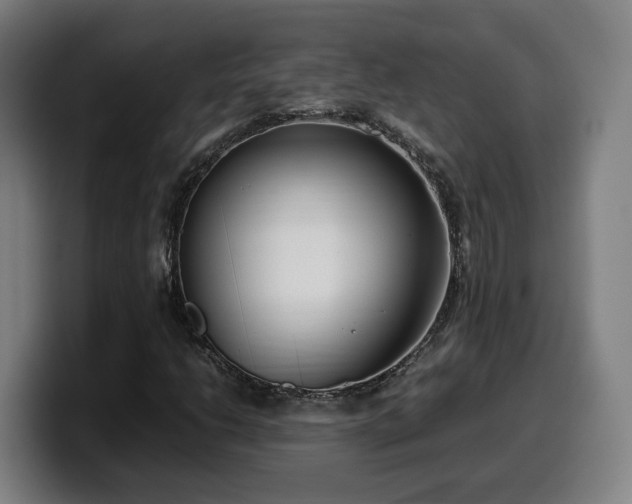 X0000099941206200805301210