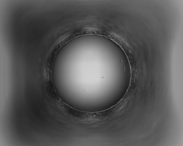 X0000099941207200805301210