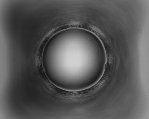 X0000099941208200805301210