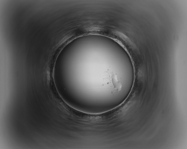 X0000099941209200805301211