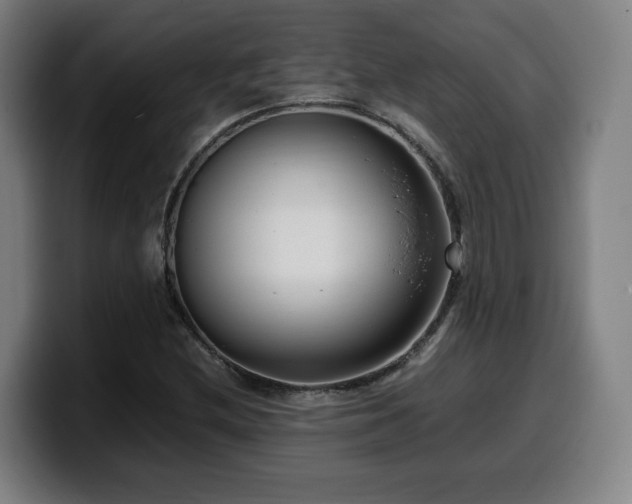 X0000099941212200805301211