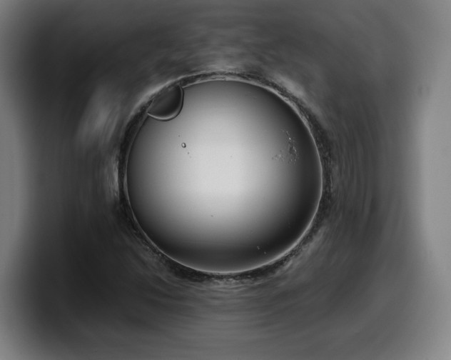 X0000099941214200805301211