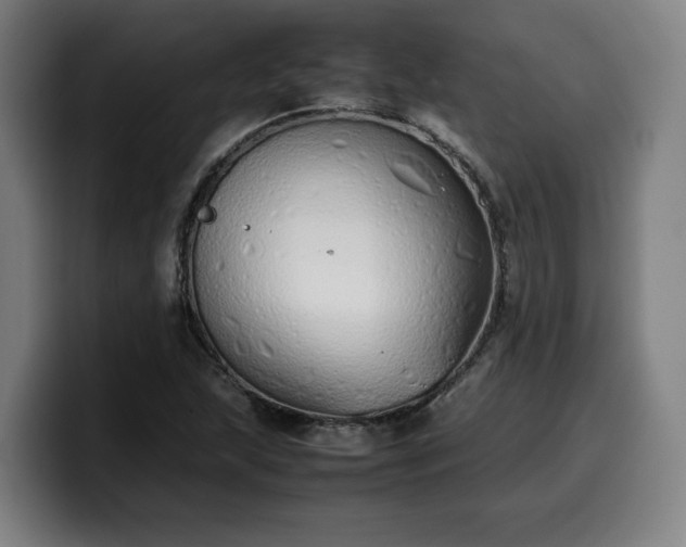 X0000099941215200805301211