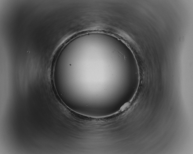 X0000099941216200805301211