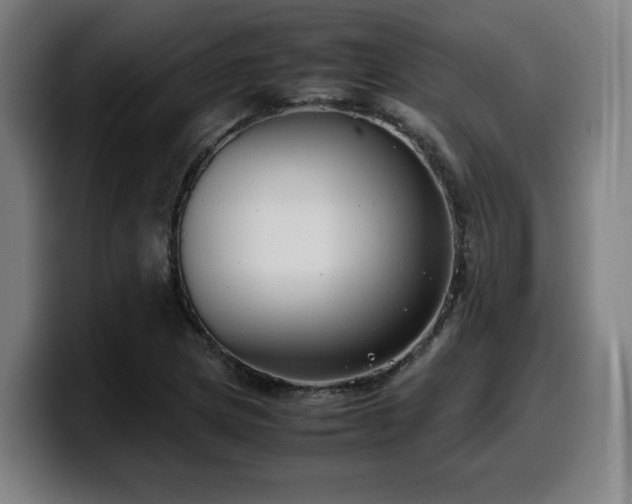 X0000099941217200805301211