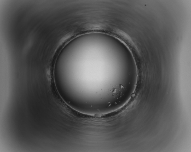 X0000099941218200805301211
