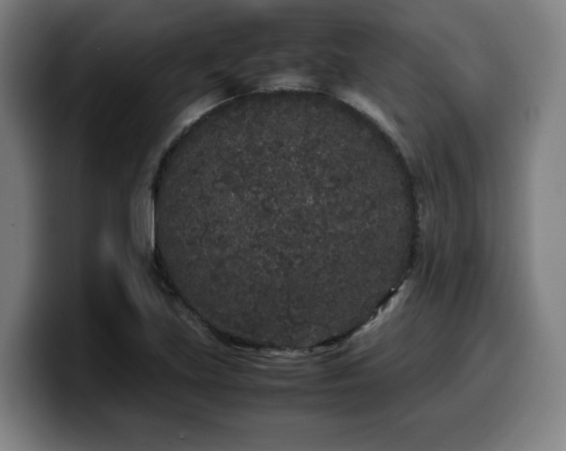 X0000099941219200805301211