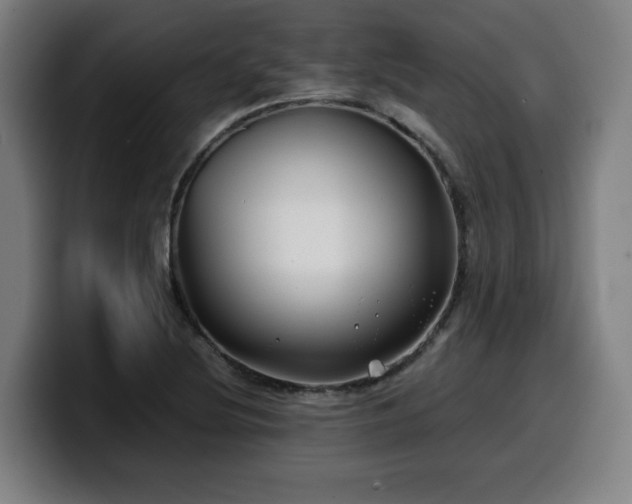 X0000099941220200805301211