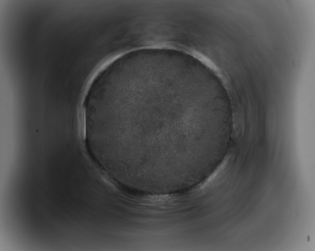 X0000099941223200805301211
