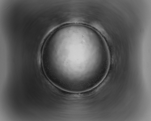 X0000099941224200805301211