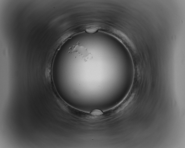 X0000099941225200805301211