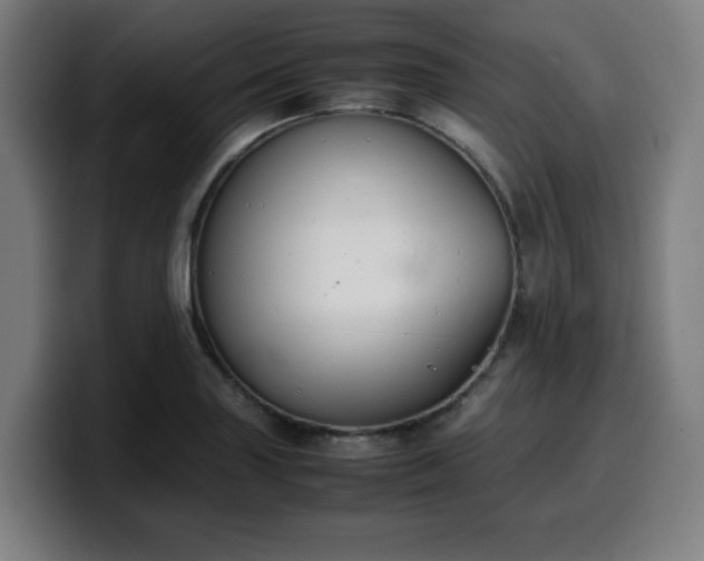 X0000099941227200805301211