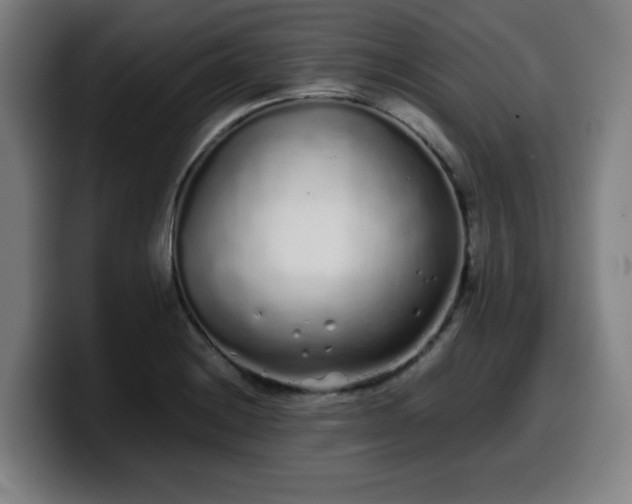 X0000099941228200805301211