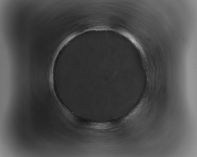X0000099941229200805301211