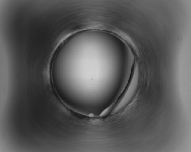 X0000099941230200805301211