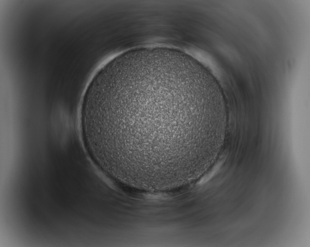 X0000099941231200805301211