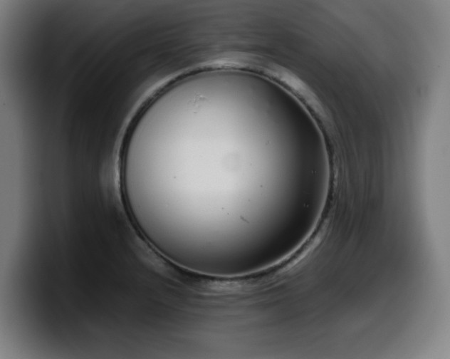 X0000099941232200805301211