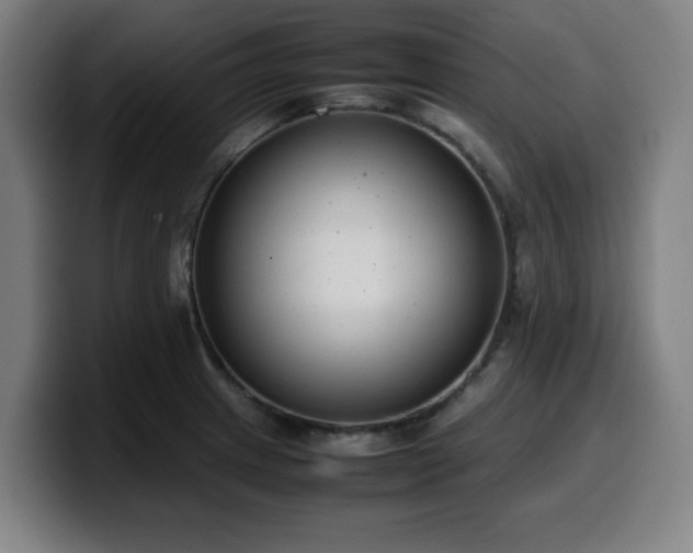 X0000099941233200805301211