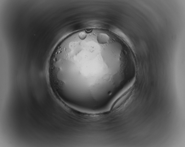 X0000099941235200805301211