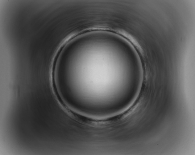 X0000099941237200805301211