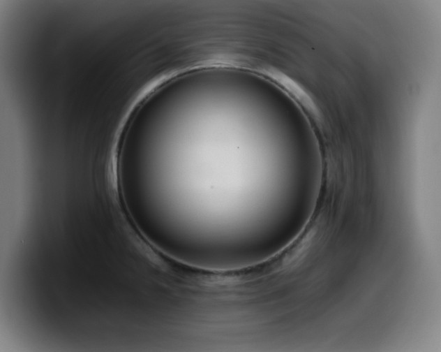 X0000099941238200805301211