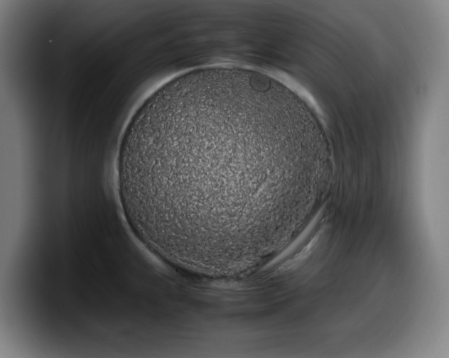 X0000099941239200805301211