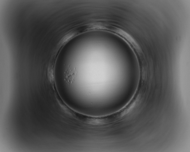 X0000099941241200805301211