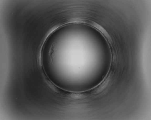 X0000099941242200805301211
