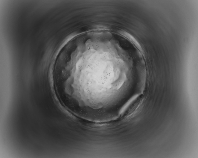X0000099941243200805301211