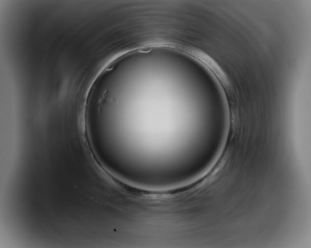 X0000099941244200805301211