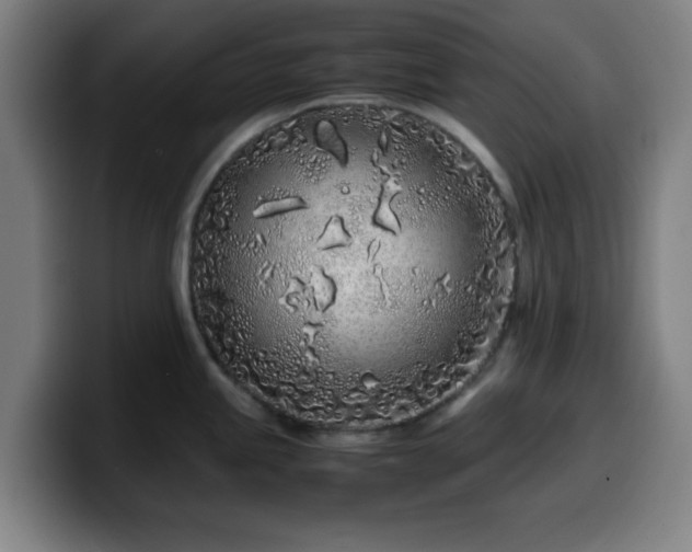 X0000099941245200805301211