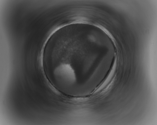 X0000099941246200805301211