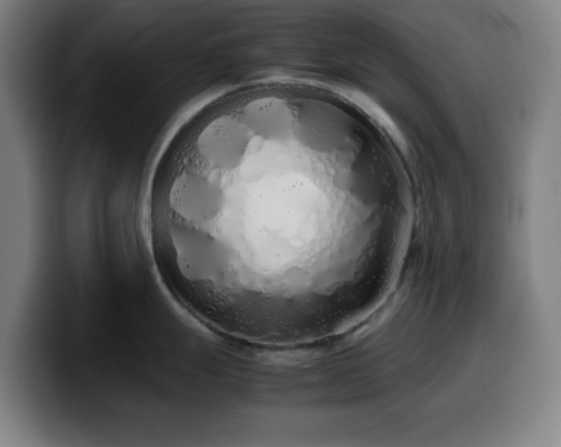 X0000099941247200805301211
