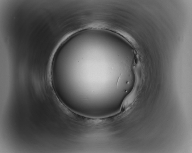 X0000099941248200805301211