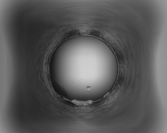 X0000099941249200805301210