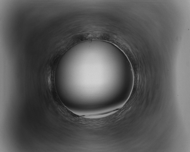 X0000099941250200805301210