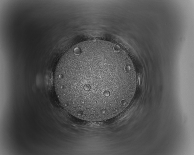 X0000099941251200805301210
