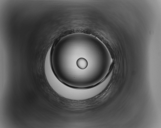 X0000099941252200805301210