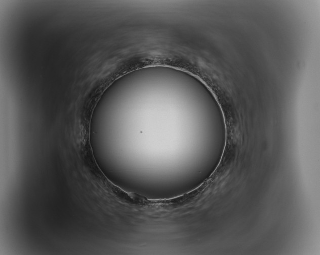 X0000099941253200805301210