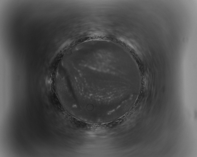 X0000099941254200805301210