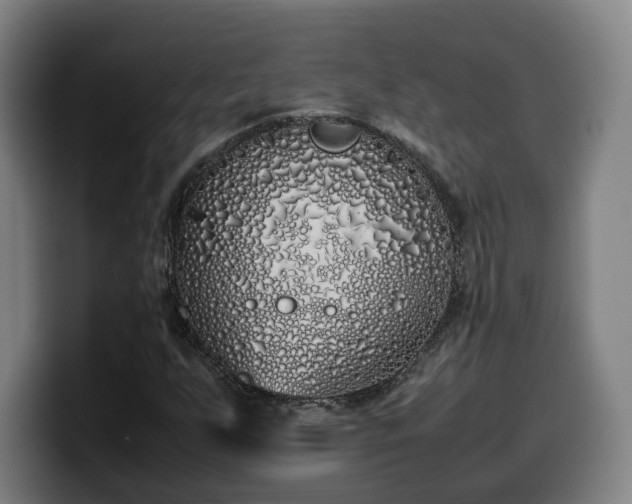 X0000099941255200805301210